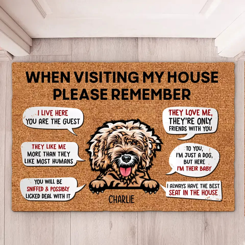 Please Remember When Visting To Our House - Personalized Doormat