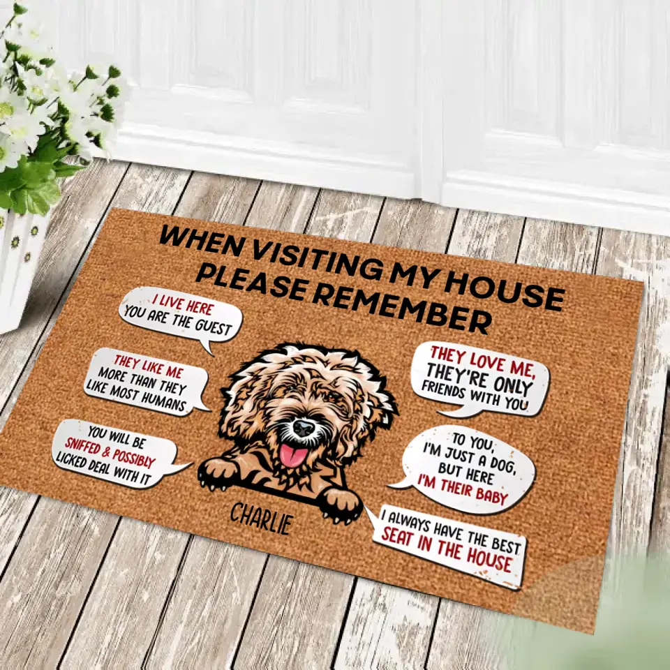 Please Remember When Visting To Our House - Personalized Doormat