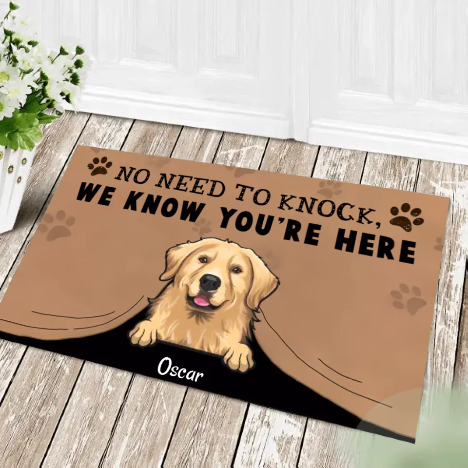 No Need To Knock We Know You Are Here, Personalized Pet Doormat