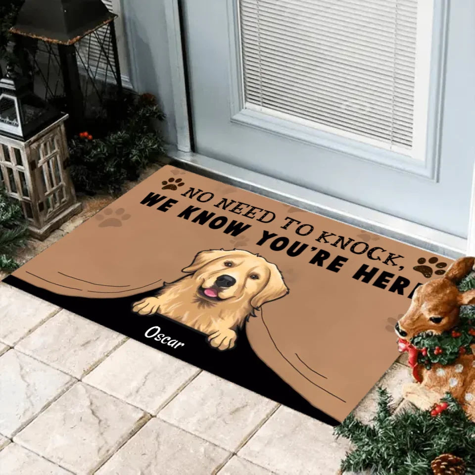 No Need To Knock We Know You Are Here, Personalized Pet Doormat