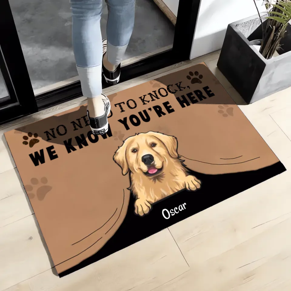 No Need To Knock We Know You Are Here, Personalized Pet Doormat